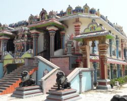 Photo of बिहार का गौरव राघोपुर का श्री वरदराज पेरुमल देवस्थानम