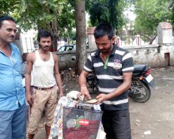 Photo of पेट की खातिर जुगाड़ जरुरी है साहेब