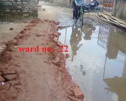 Photo of रंग में आये वार्ड पार्षद….