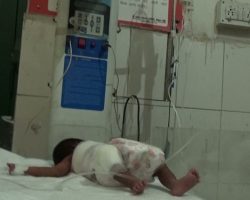 Photo of दरिंदों ने 6 दिन की नवजात को भी नहीं बख्सा…
