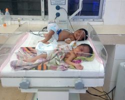 Photo of अस्पताल में हुई तोड़फोड़ कहीं लील ना ले चार मासूम बच्चों की जान