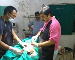 Photo of युवा पीढ़ी हो रही बेपटरी