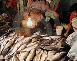 Photo of पटना में तत्काल मछली बेचने पर रोक
